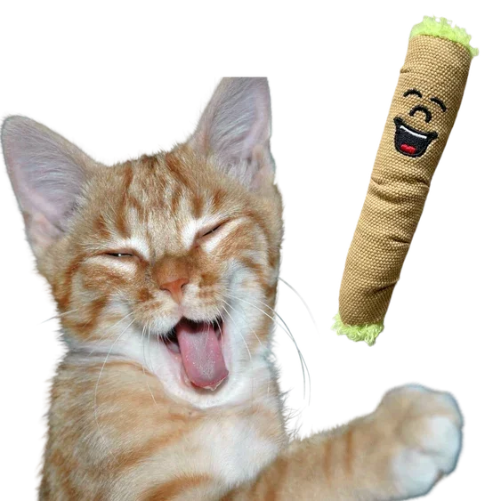 Laughing orange tabby cat playing with a smiling catnip toy, pet accessories