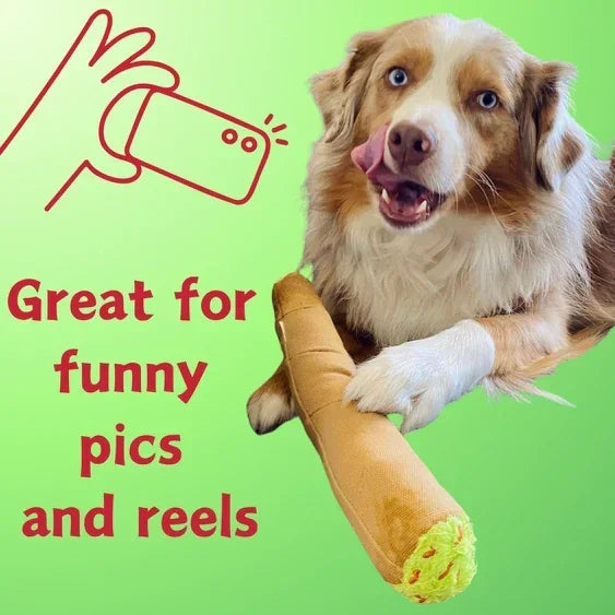 Dog holding novelty plush toy shaped like a rolled item, ideal for funny pet photos and reels