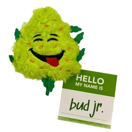 Plush toy shaped like a green smiling bud with 'Hello my name is bud jr.' badge