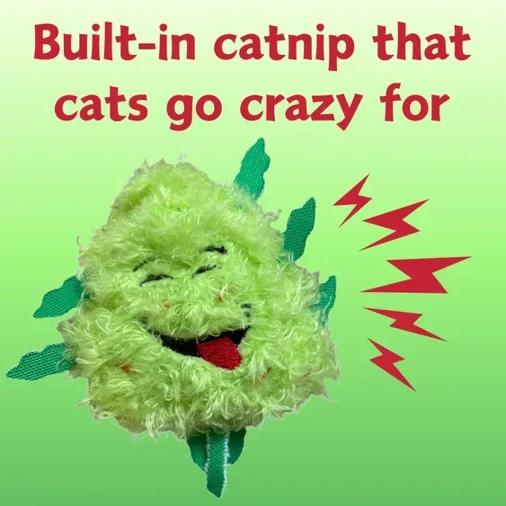 Fuzzy catnip toy with smiling face, cat toy for interactive play, green background with text