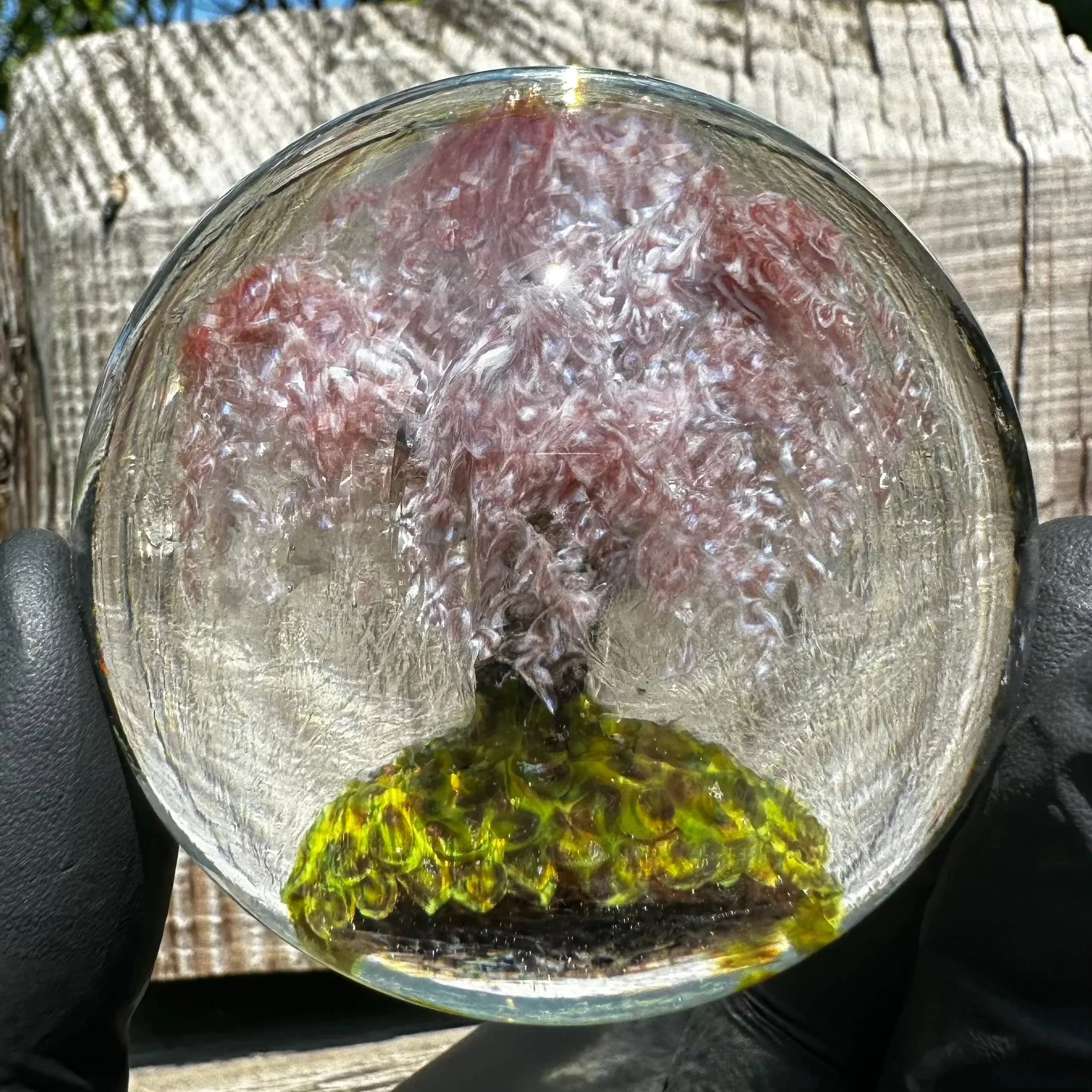 Woodlander Glass - Weeping Cherry Tree