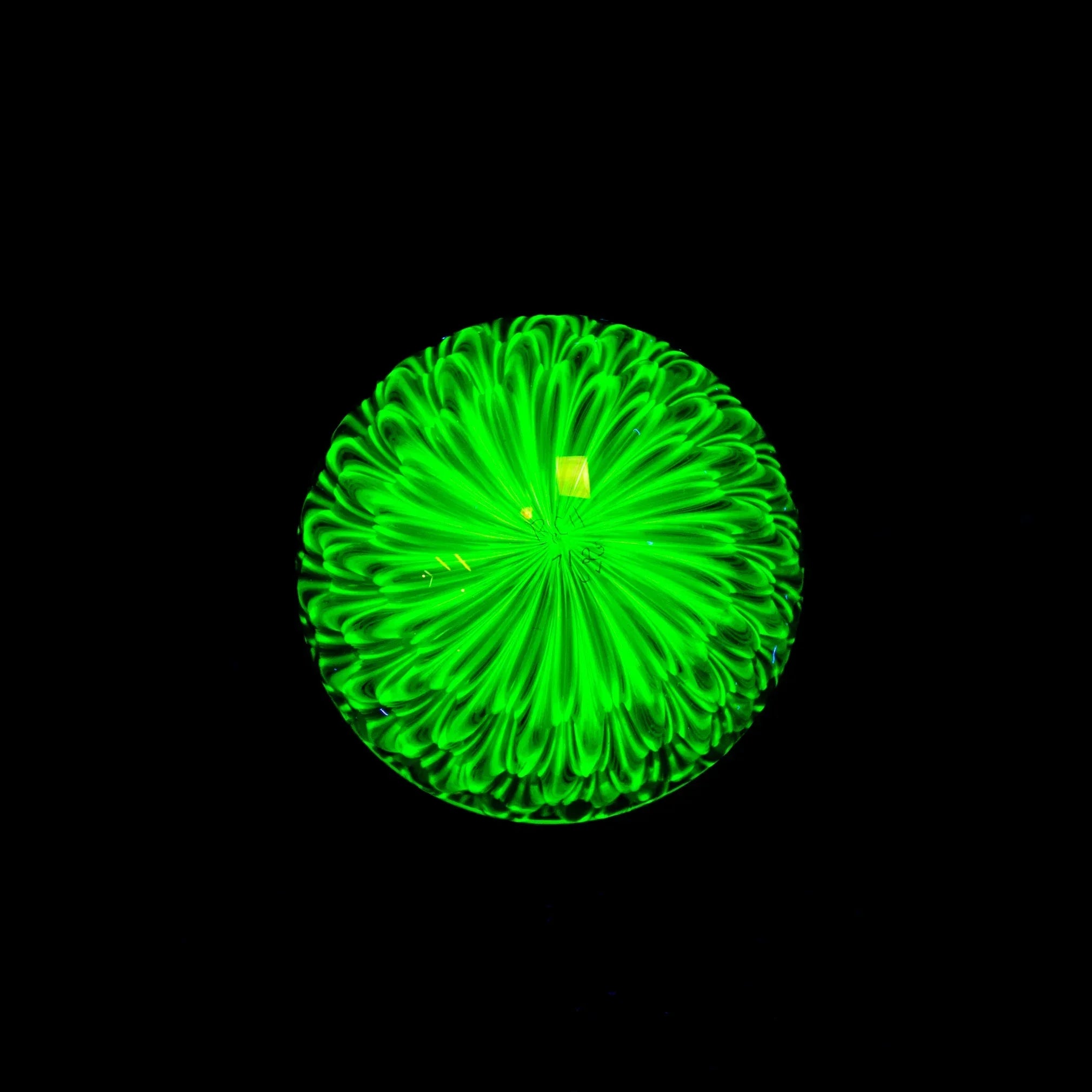 UV reactive glass art pendant with vibrant green blossom pattern on black background