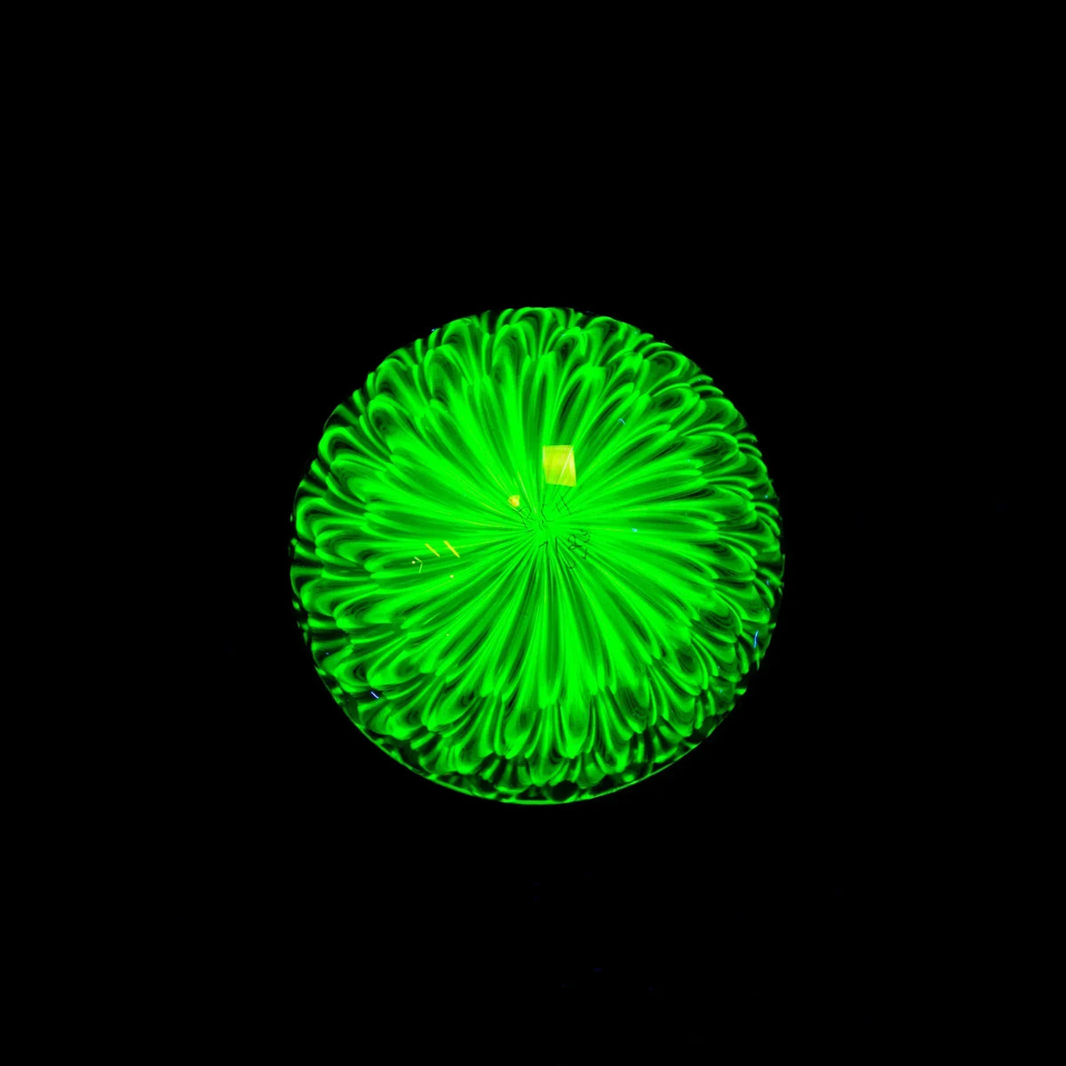UV reactive glass art pendant with vibrant green blossom pattern on black background