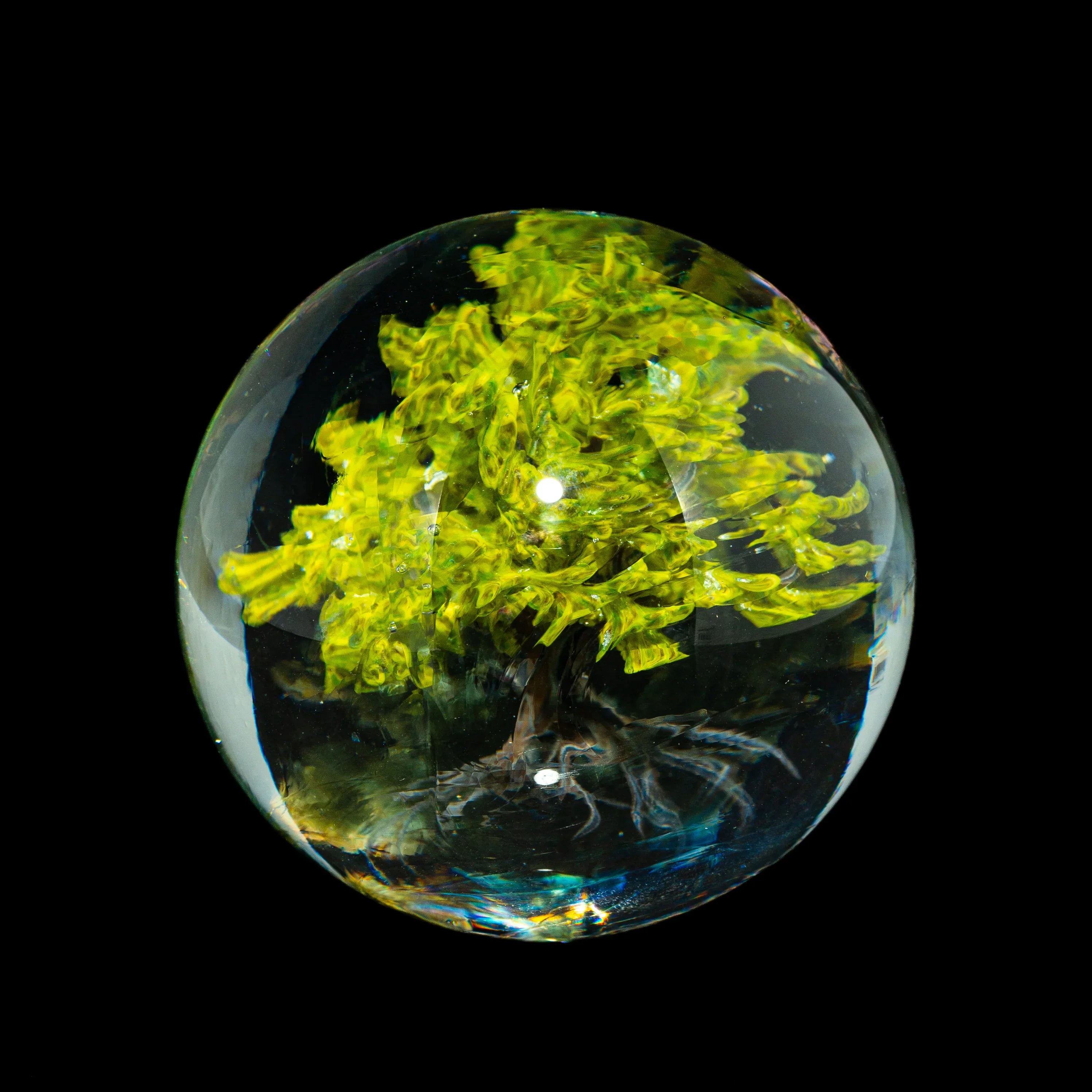 Hand-blown glass marble with detailed yellow-green tree design on black background