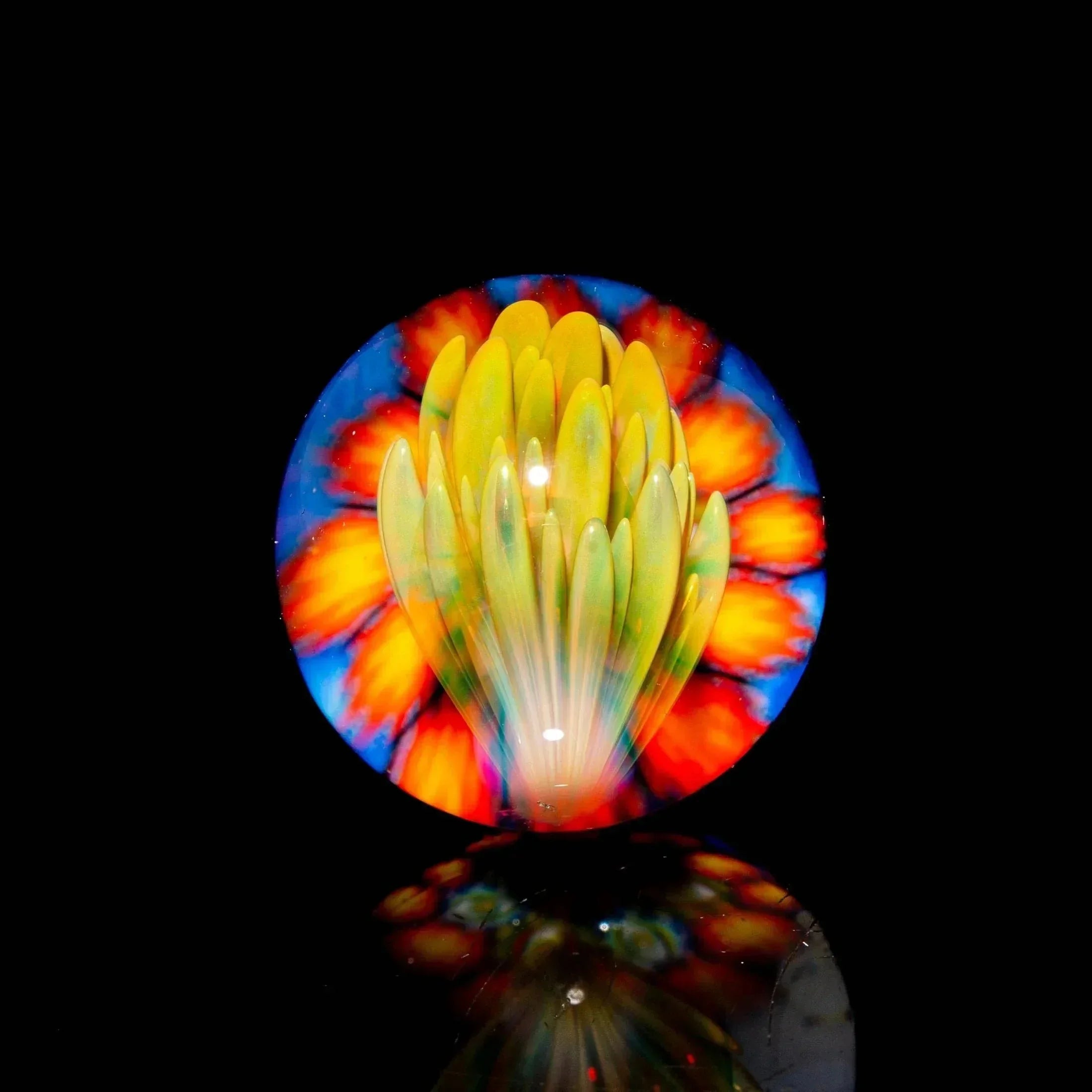 Handblown glass marble with vibrant yellow flower and red-blue background on black