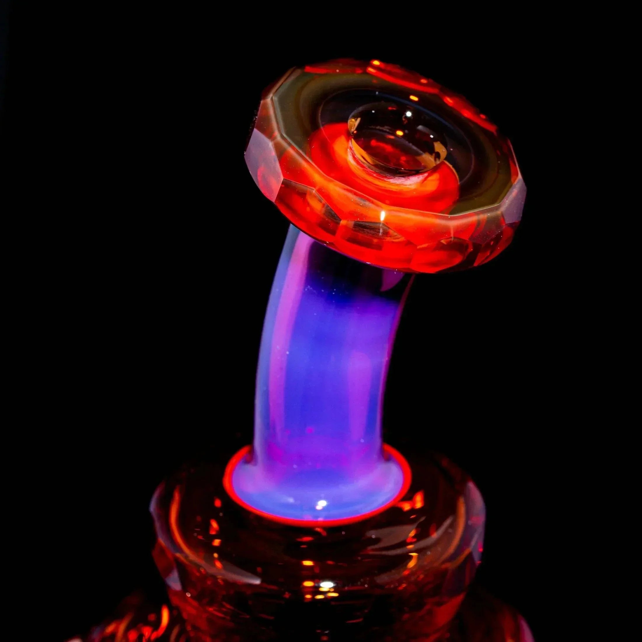 Ben Garson - Royal Jelly & Sunstone Proton Cycler