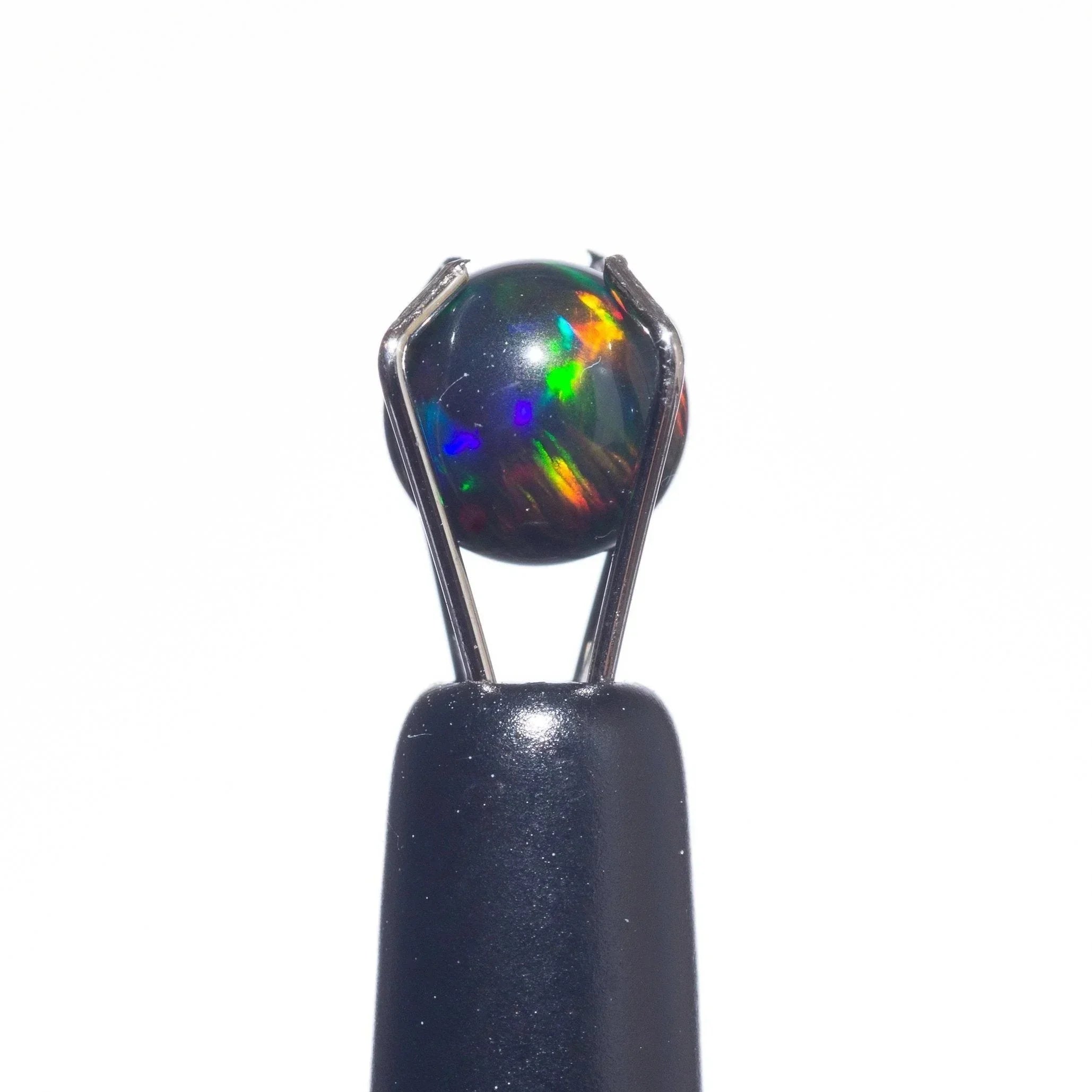 Black opal terp pearl with rainbow colors held by metal tool on white background