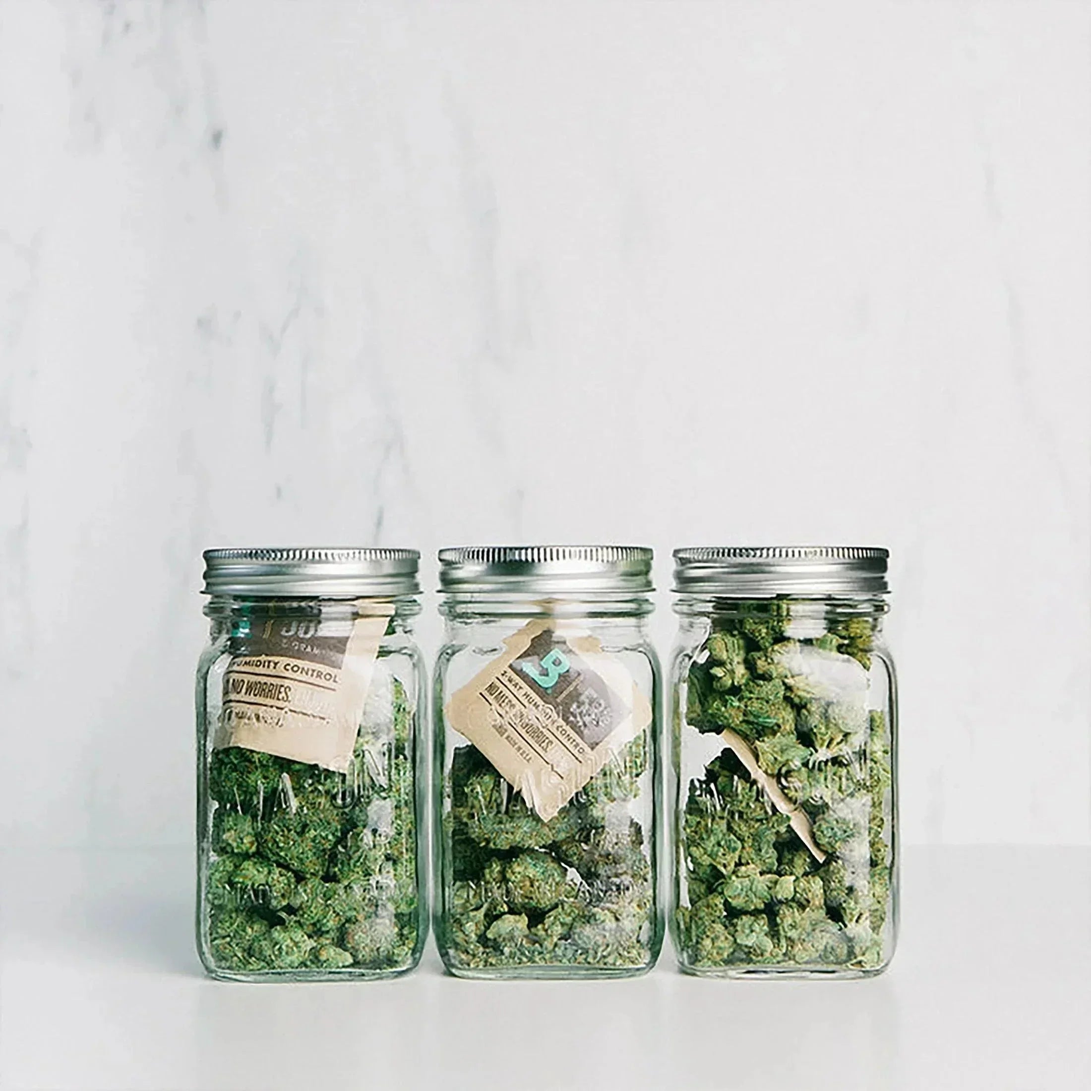Three glass jars with humidity packs storing green plant material on a white background.