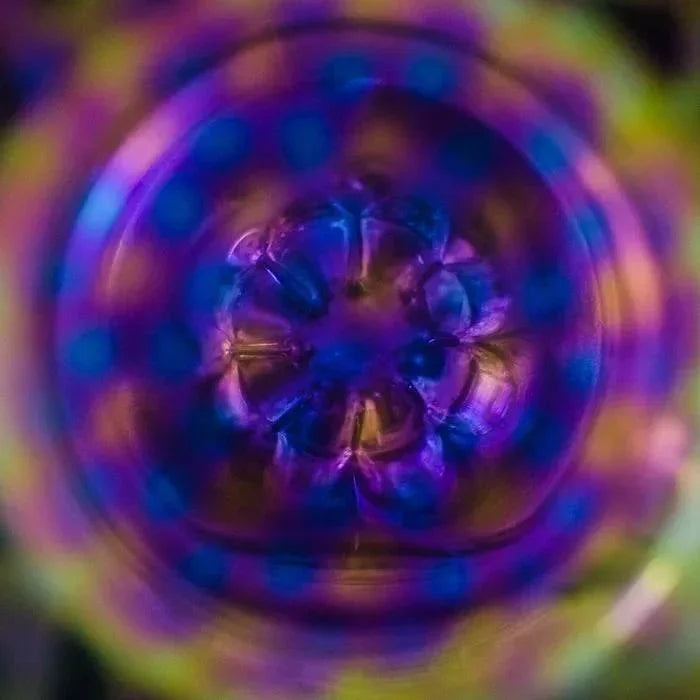 D Wreck x Misfit Collab