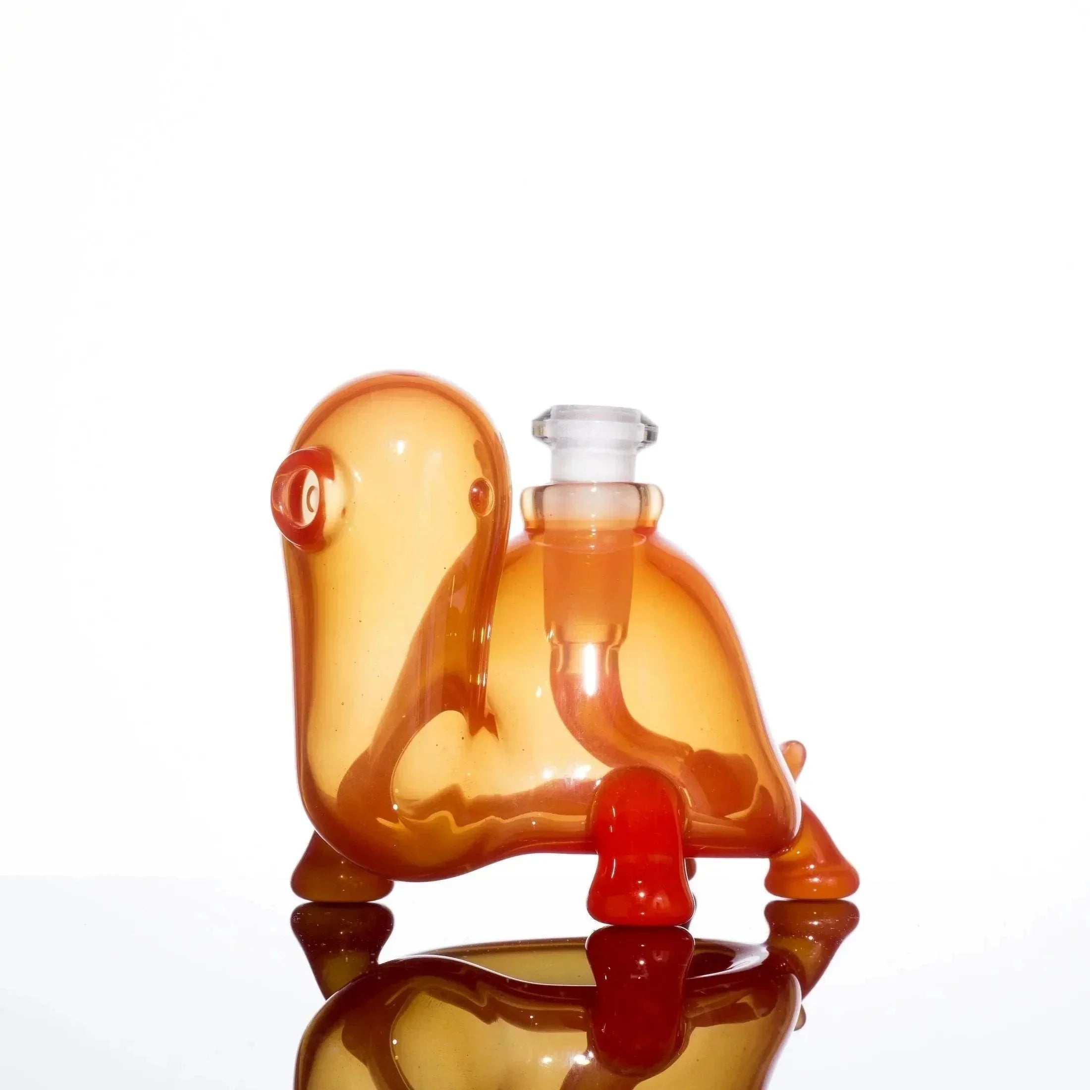 Eli Munster Turtle Set