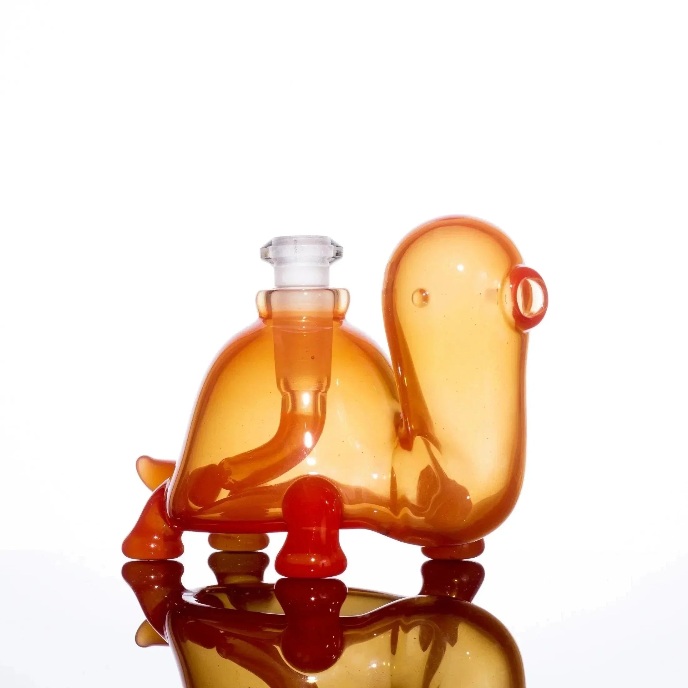 Eli Munster Turtle Set