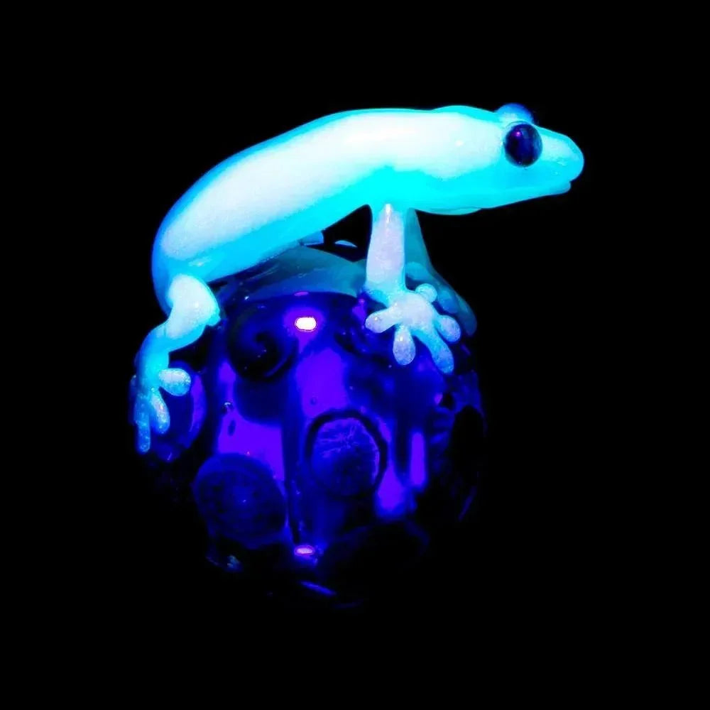 Rose Roads x Kengtaro - Blue-Glo Salamander