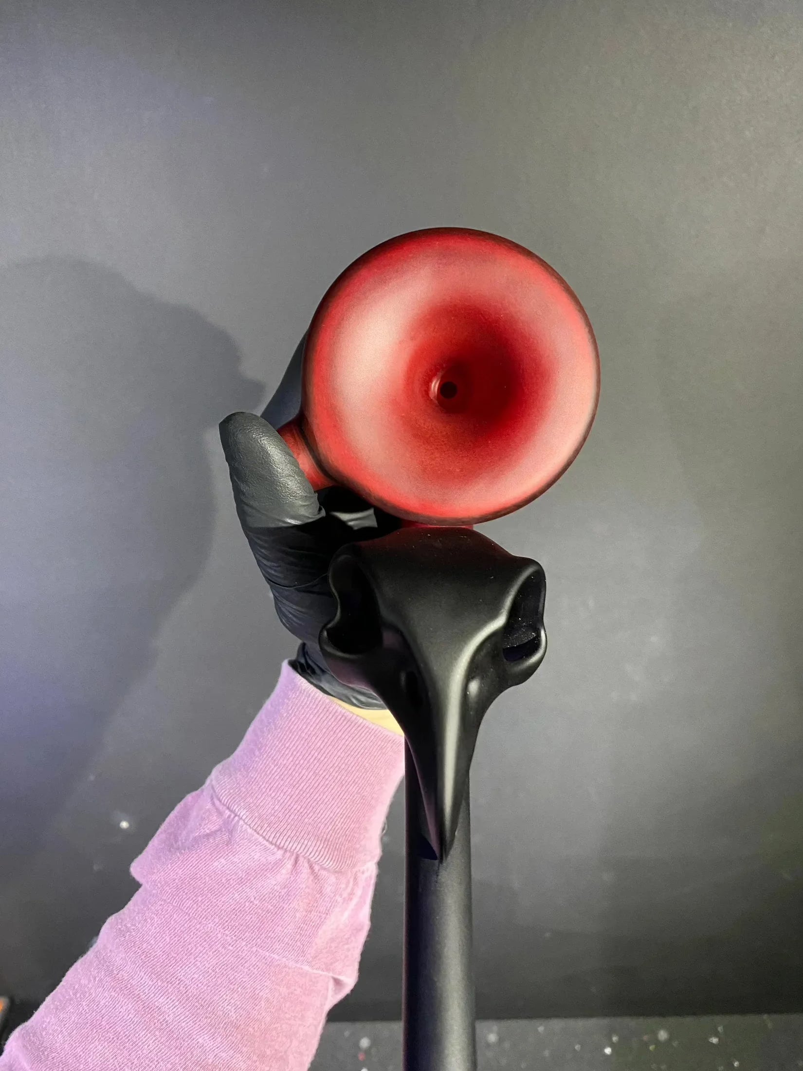 Bishop - Medium Bird Skull Dry