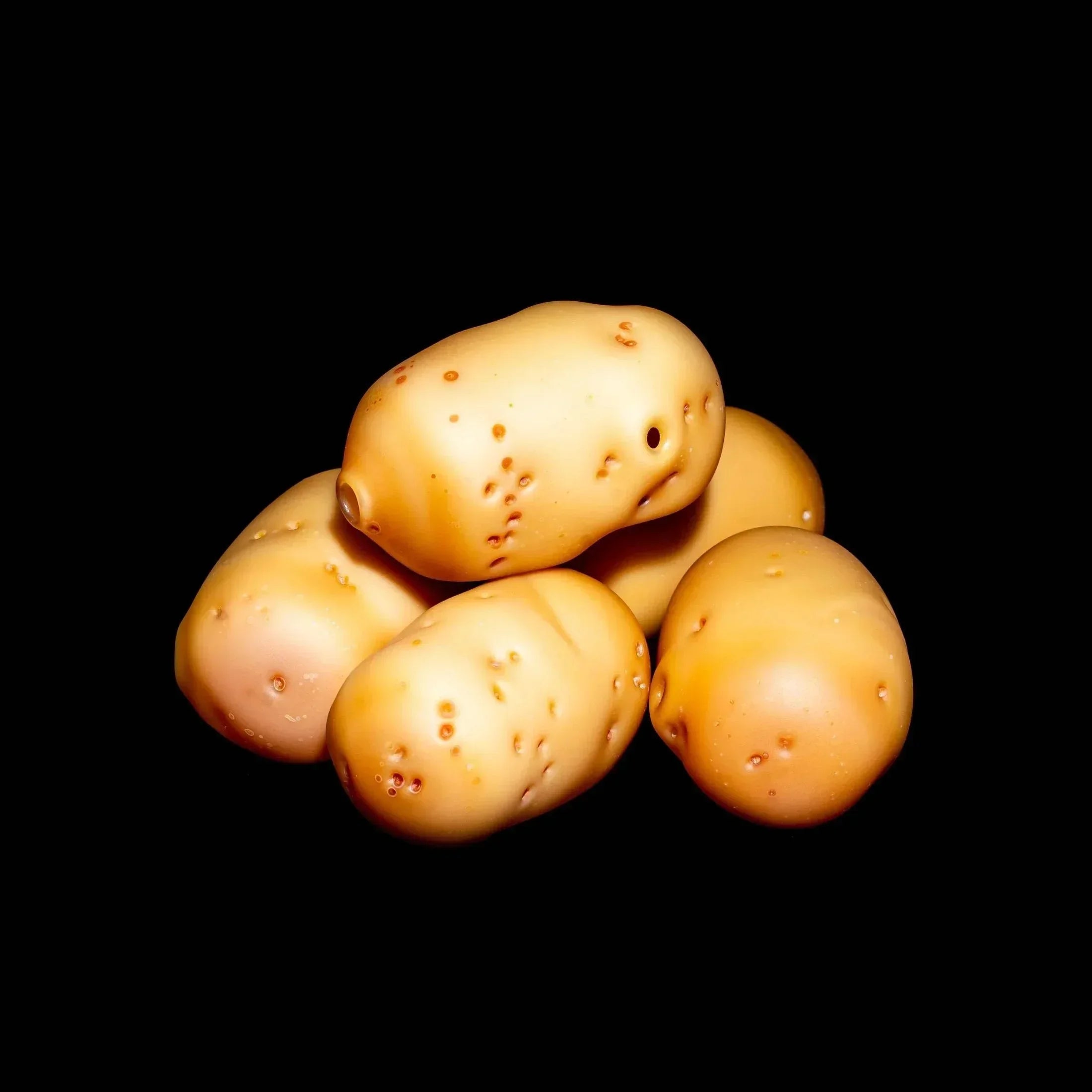 Realistic glass pipes shaped like potatoes, displayed on a black background.