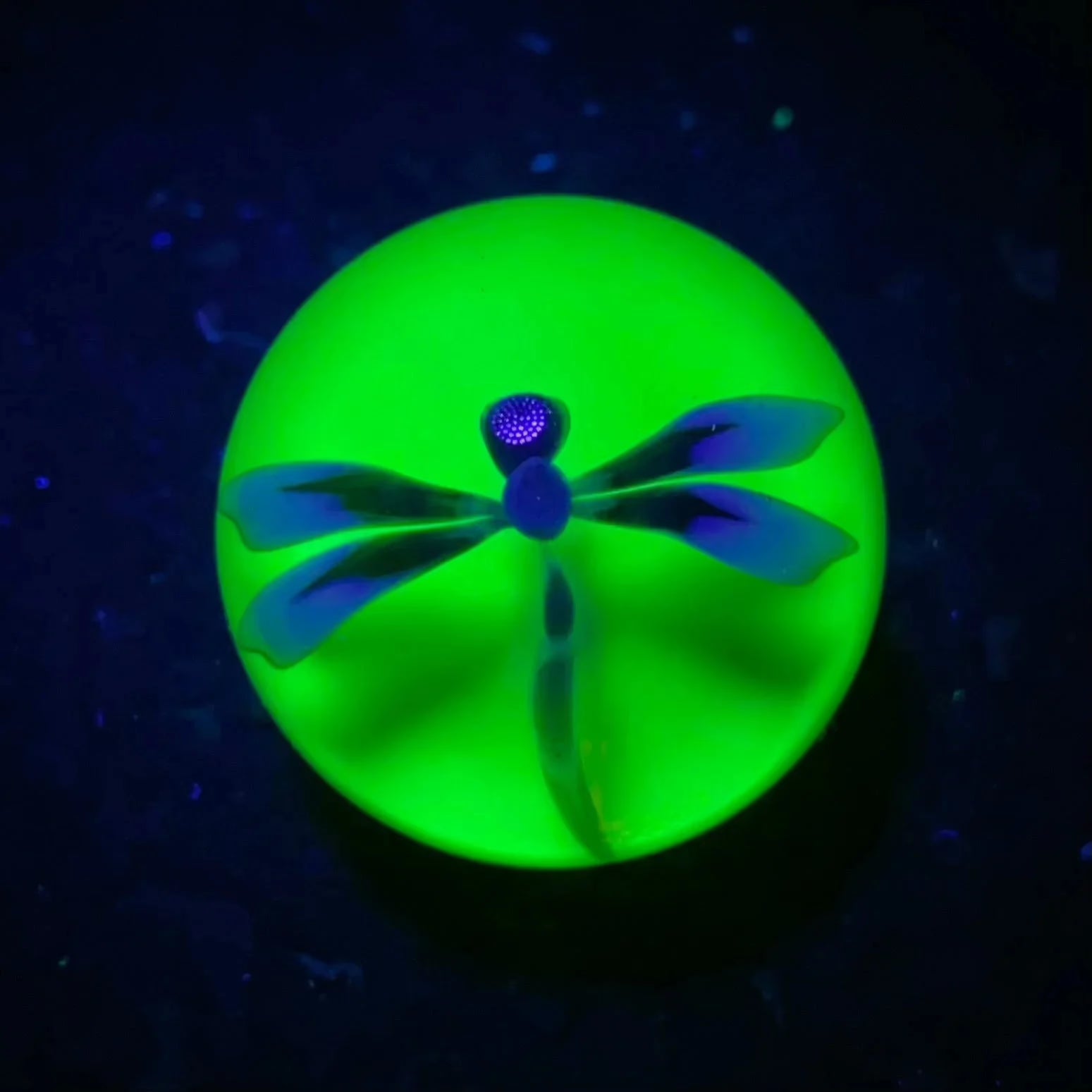 Florin Glass - Medium Citrine Dragonfly 32MM Marble