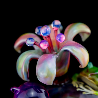 Aquarius - Chappy, Frog & Flower Paperweight