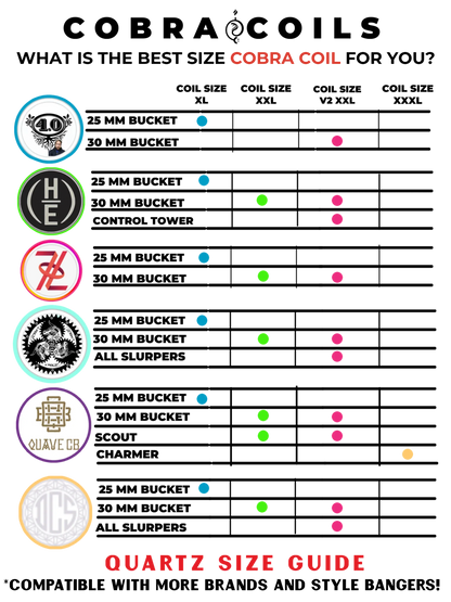 Disorderly Conduction - Cobra Coil