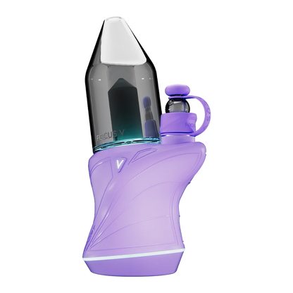 Focus V - Carta Sport