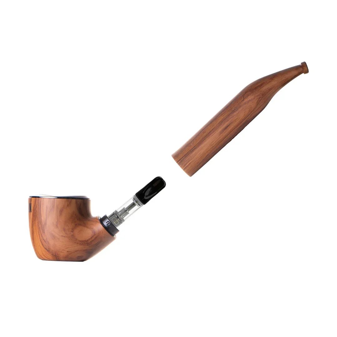 Cartisan - The Inspector