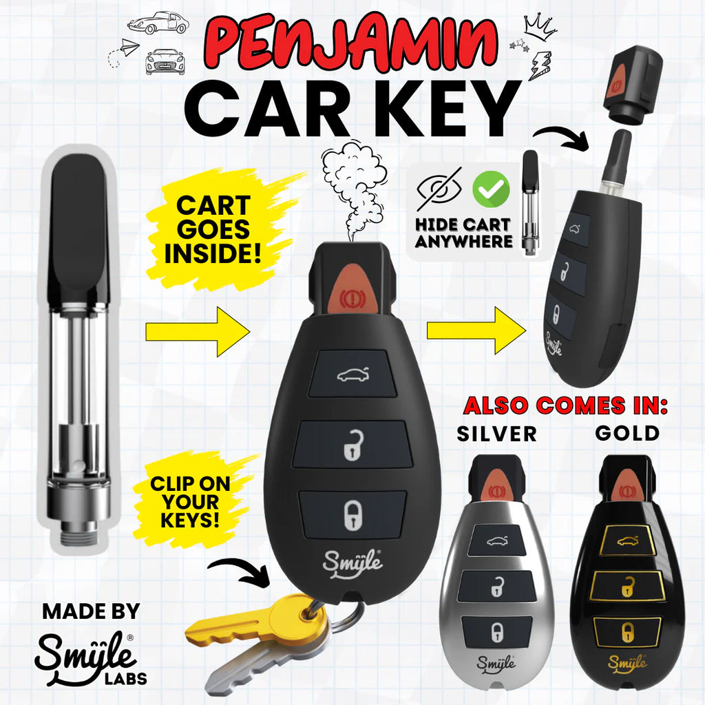 Smyle Labs - Car Key Penjamin Stealth Cart Battery