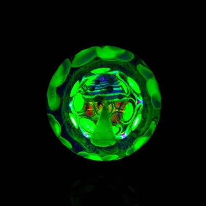 Anton Bodor x Travis Weber x Kenan Tiemeyer x Peter Boyle x Reed Glass x Paul Katherman "Mycelium Transporter"