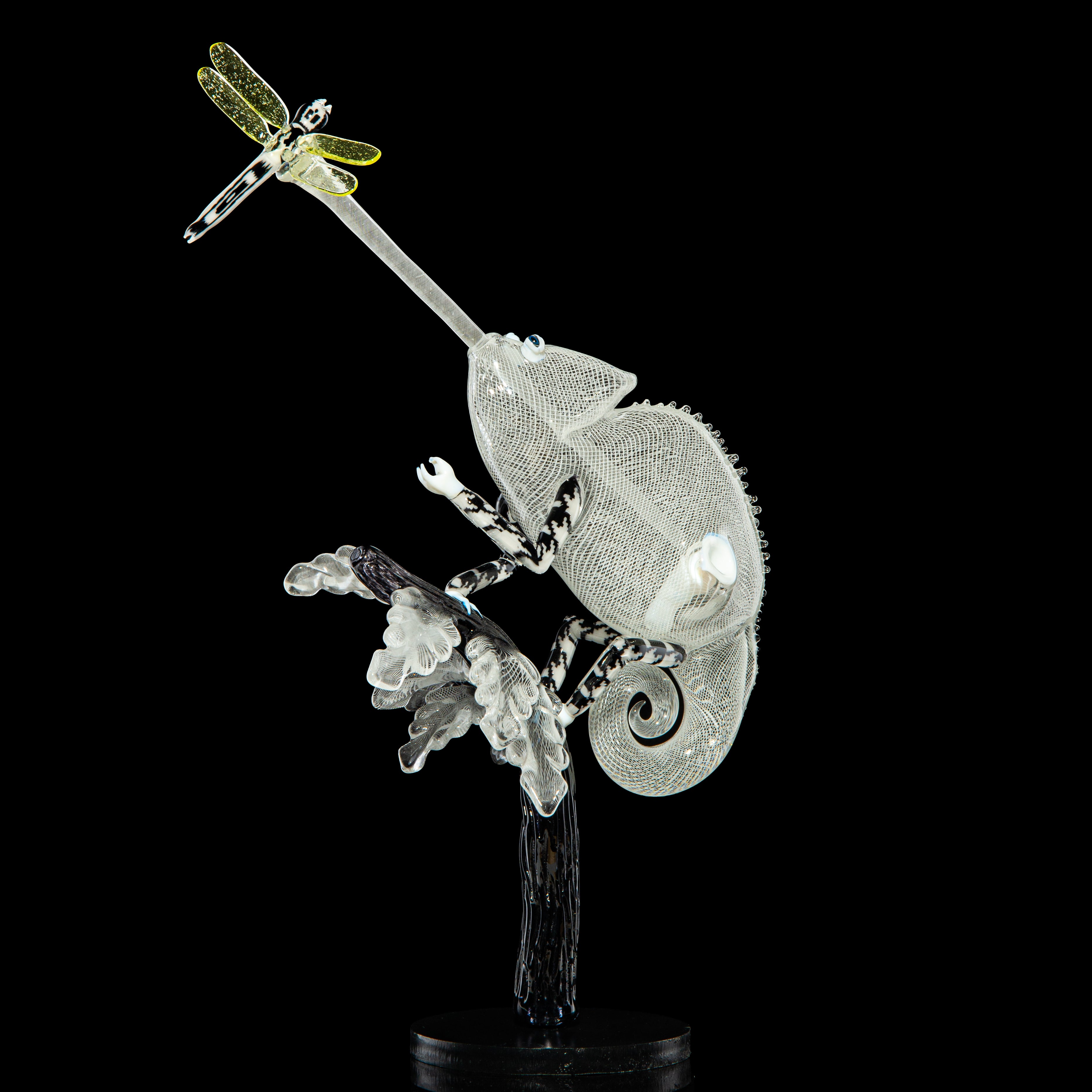 Crunklestein x Blue Soldier - White Reticello Chameleon