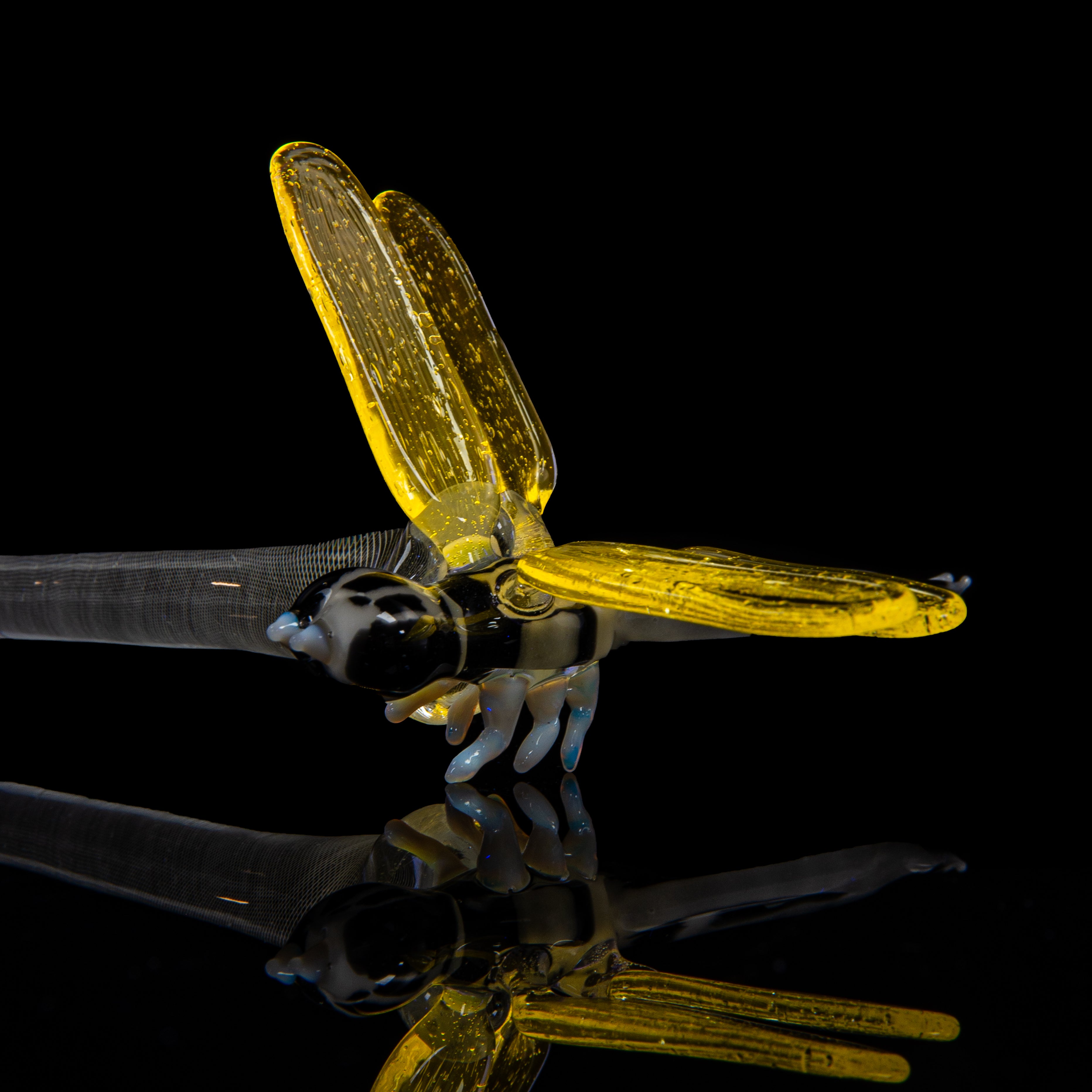 Crunklestein x Blue Soldier - White Reticello Chameleon