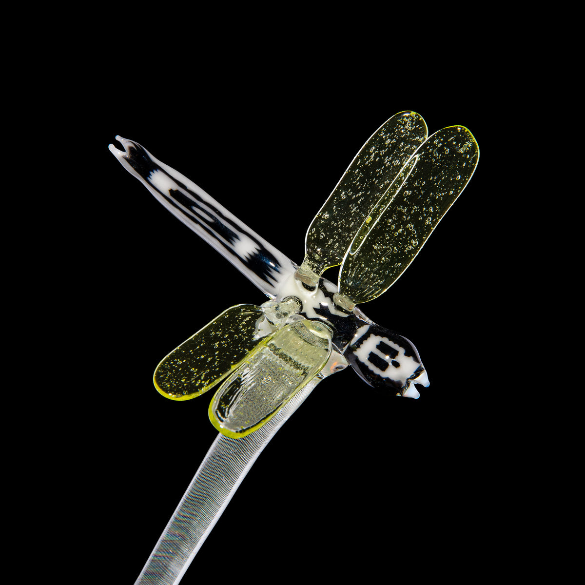 Crunklestein x Blue Soldier - White Reticello Chameleon