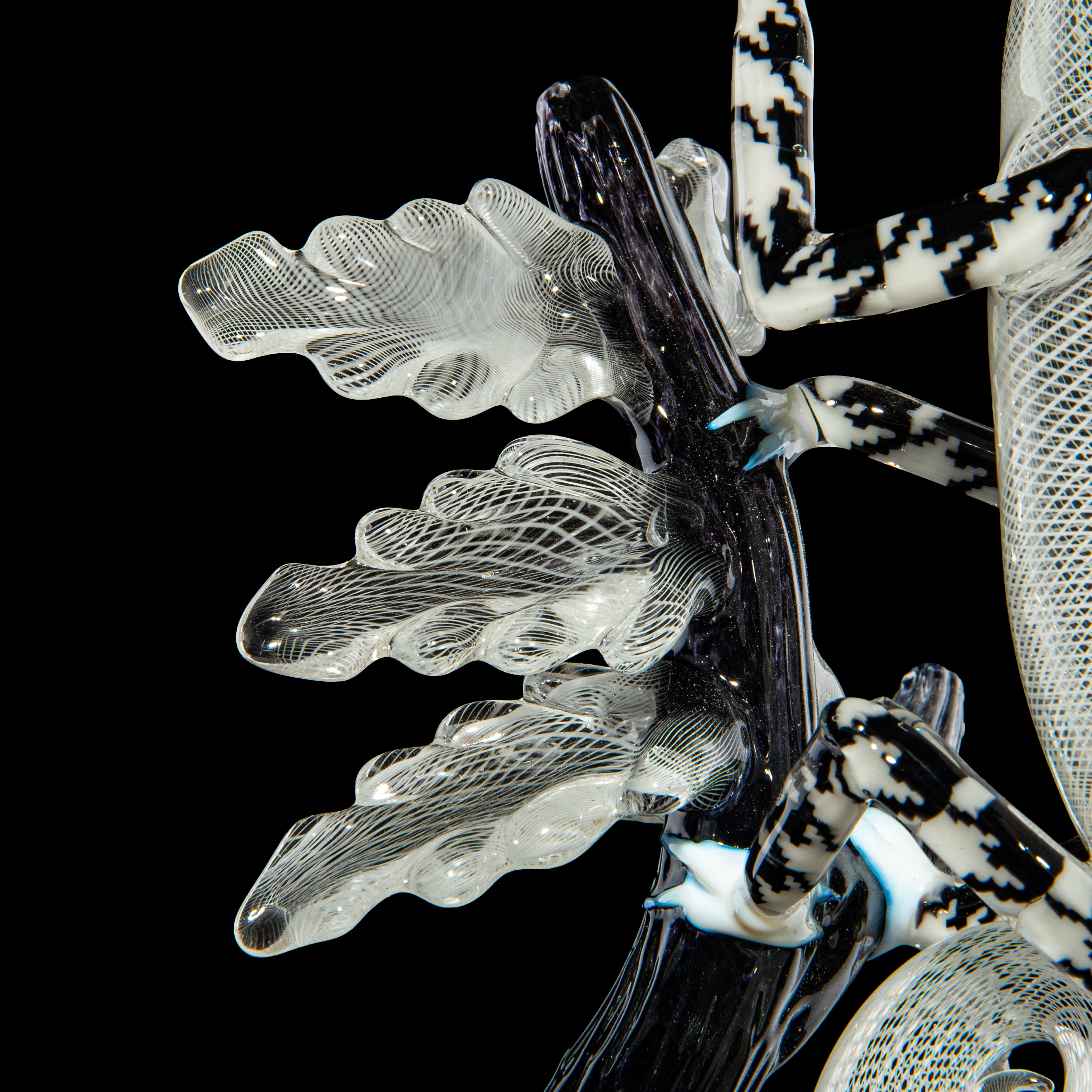 Crunklestein x Blue Soldier - White Reticello Chameleon
