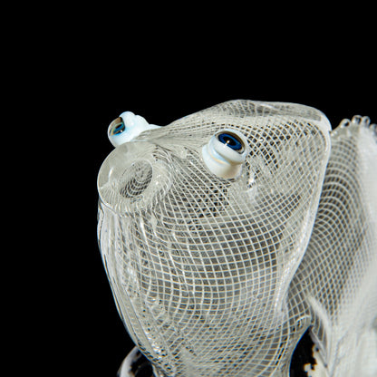 Crunklestein x Blue Soldier - White Reticello Chameleon