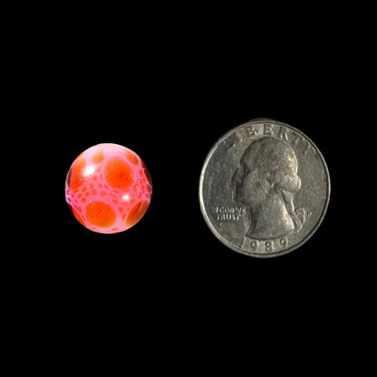 Colorful glass terp pearl with red and pink dots next to a US quarter for size reference