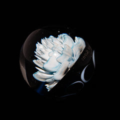 Ponder The Orb: Coyle - Moon Flower Marble