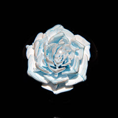 Ponder The Orb: Coyle - Moon Flower Marble