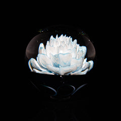 Ponder The Orb: Coyle - Moon Flower Marble