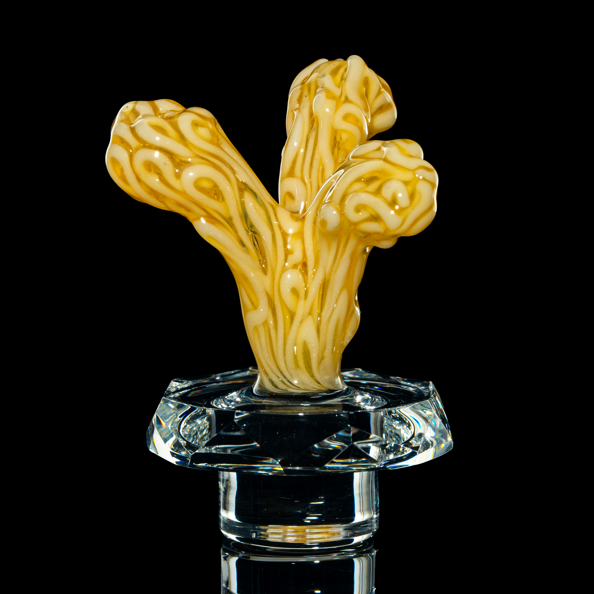 Dojo Glass x Toro - Faceted Top