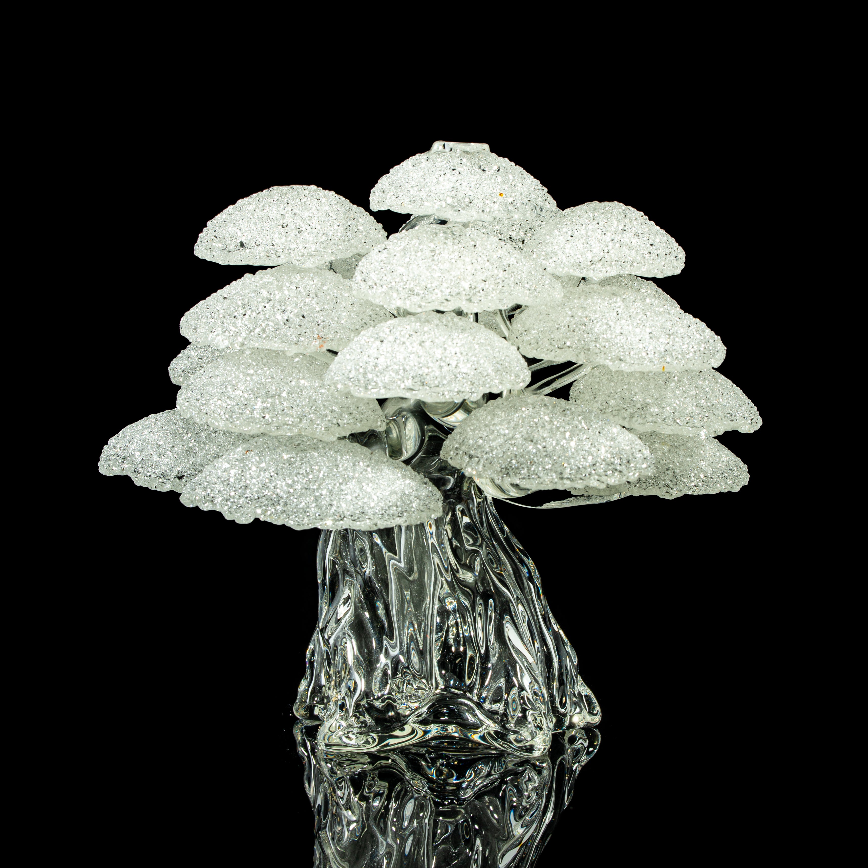 Bubbles The Butcher - Bonsai Tree #40