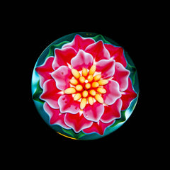 Florin Glass - Mármol de flores rosa y blanco