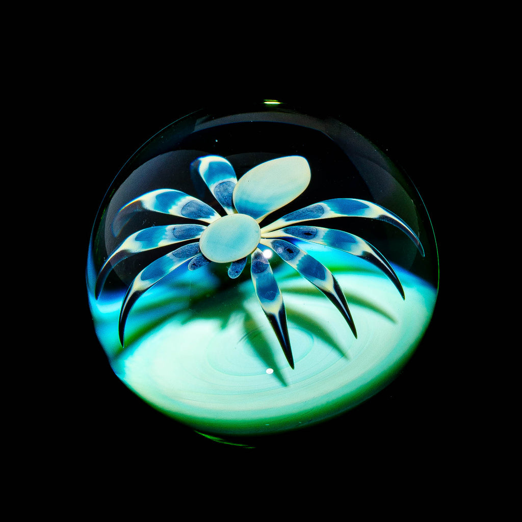 Florin Glass - Aqua Spider Micro Mib
