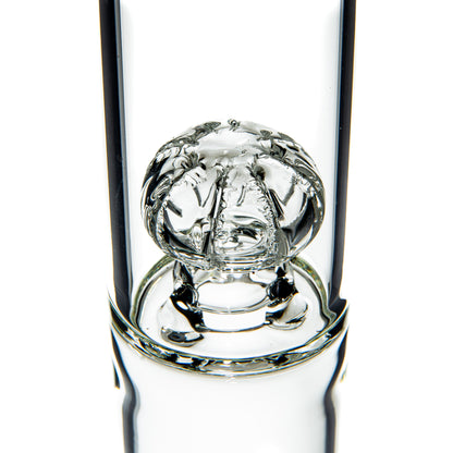 HolloH - Clear 44MM V2 Griddy