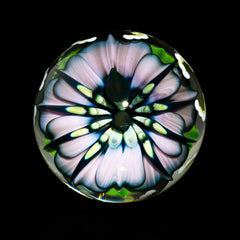 Ponder The Orb: Anton Bodor x Florin Glass - Creeker