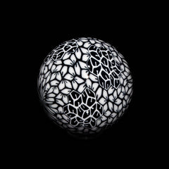 Ponder The Orb: Mike Raman - Black & White Marble