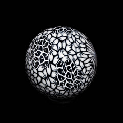 Ponder The Orb: Mike Raman - Black & White Marble