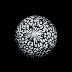 Ponder The Orb: Mike Raman - Black & White Marble