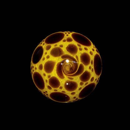 Yellow sable hobnail glass marble with swirl pattern on black background