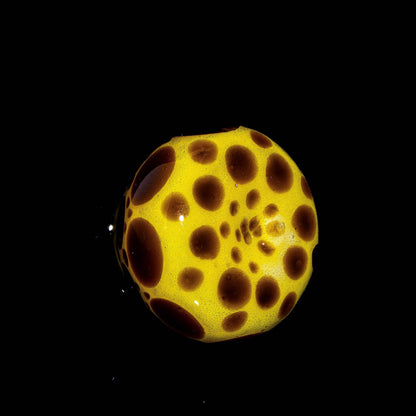 Yellow glass art piece with brown spots on a black background