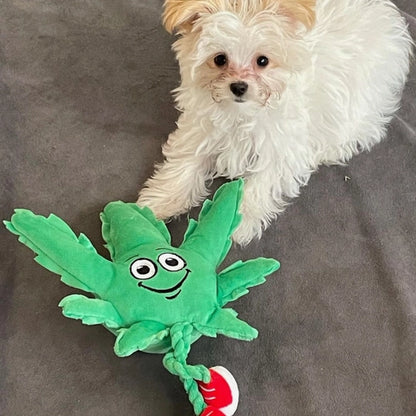 Paw:20 - MJ The Weed Leaf Dog Toy