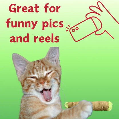 Paw:20 - Lil B The Blunt Cat Toy