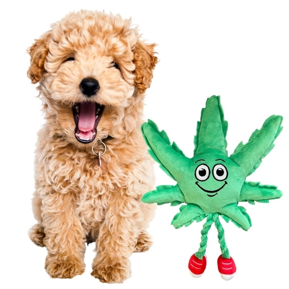 Paw:20 - MJ The Weed Leaf Dog Toy