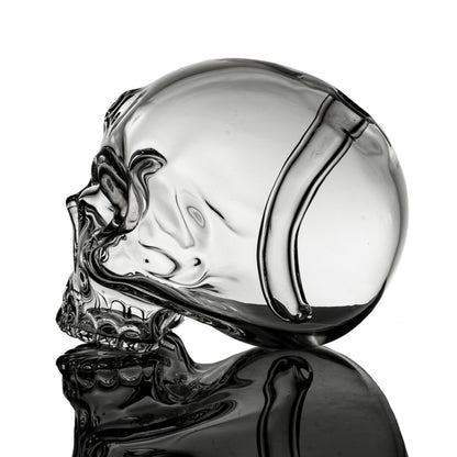 Scoz - Clear Skull Rig