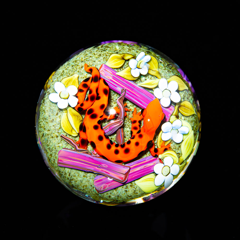 Ponder The Orb: Clinton Smith - Ladybug Salamander Marble